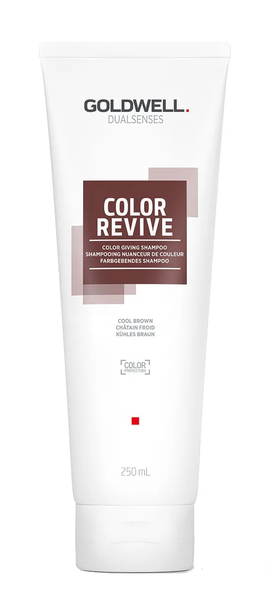 GW DS CR Shampoo kühles braun 250ml       Dualsenses Color Revive